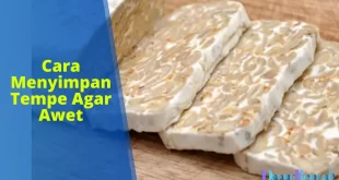 Cara Menyimpan Tempe Agar Awet