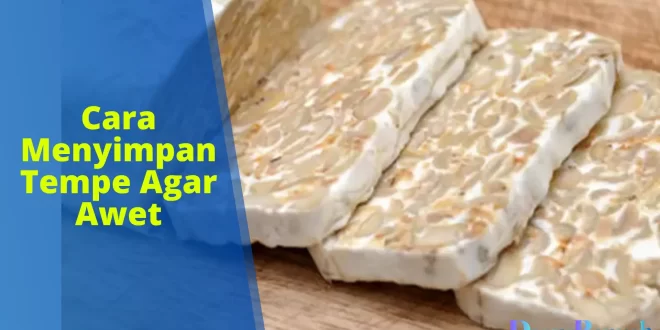 Cara Menyimpan Tempe Agar Awet