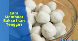 cara membuat bakso ikan tenggiri