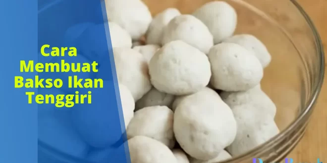 cara membuat bakso ikan tenggiri