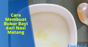 cara membuat bubur bayi dari nasi matang