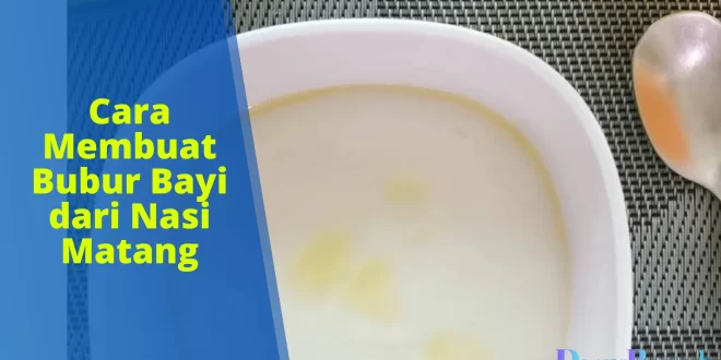 cara membuat bubur bayi dari nasi matang