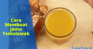 cara membuat jamu temulawak