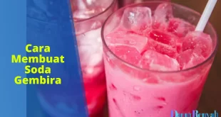 cara membuat soda gembira