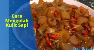 cara mengolah kulit sapi