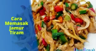 Cara masak jamur tiram