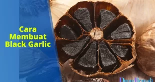 cara membuat black garlic