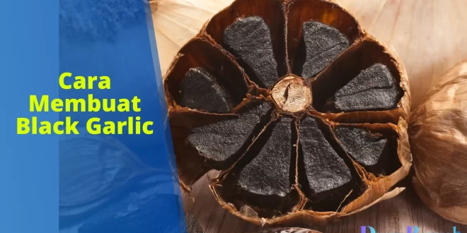 cara membuat black garlic