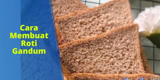 cara membuat roti gandum