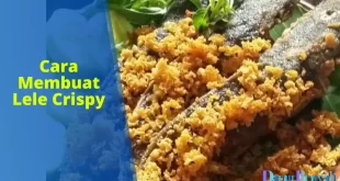 cara membuat lele crispy