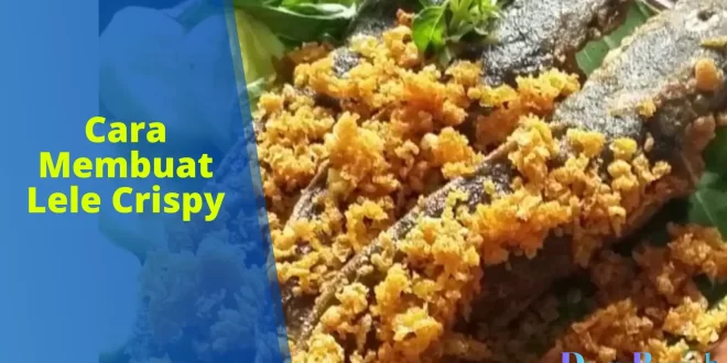 cara membuat lele crispy
