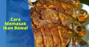 cara memasak ikan bawal