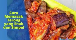 cara memasak terong yang enak dan simpel