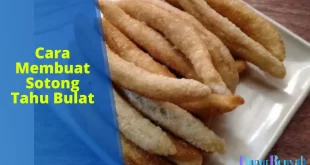 cara membuat sotong tahu bulat
