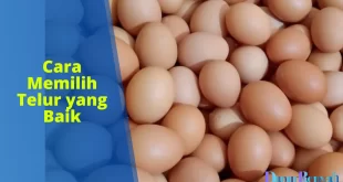 cara memilih telur yang baik
