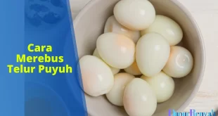 cara merebus telur puyuh