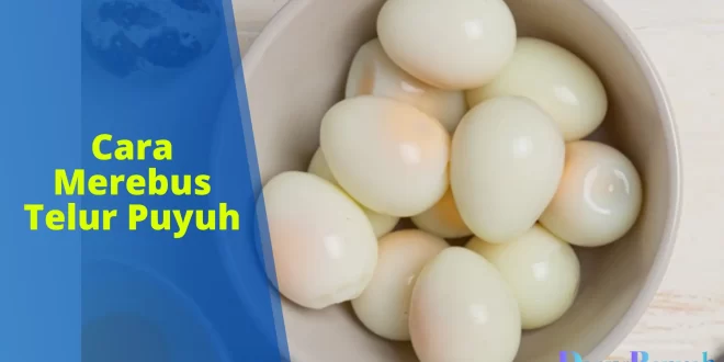 cara merebus telur puyuh