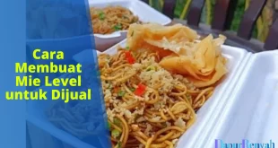 cara membuat mie level untuk dijual