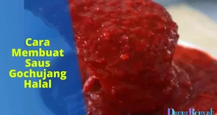 cara membuat saus gochujang halal