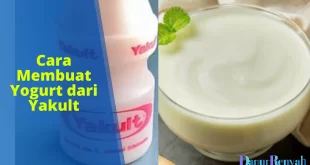 cara membuat yogurt dari Yakult