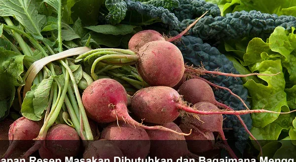 Kapan Resep Masakan Dibutuhkan dan Bagaimana Menggunakannya